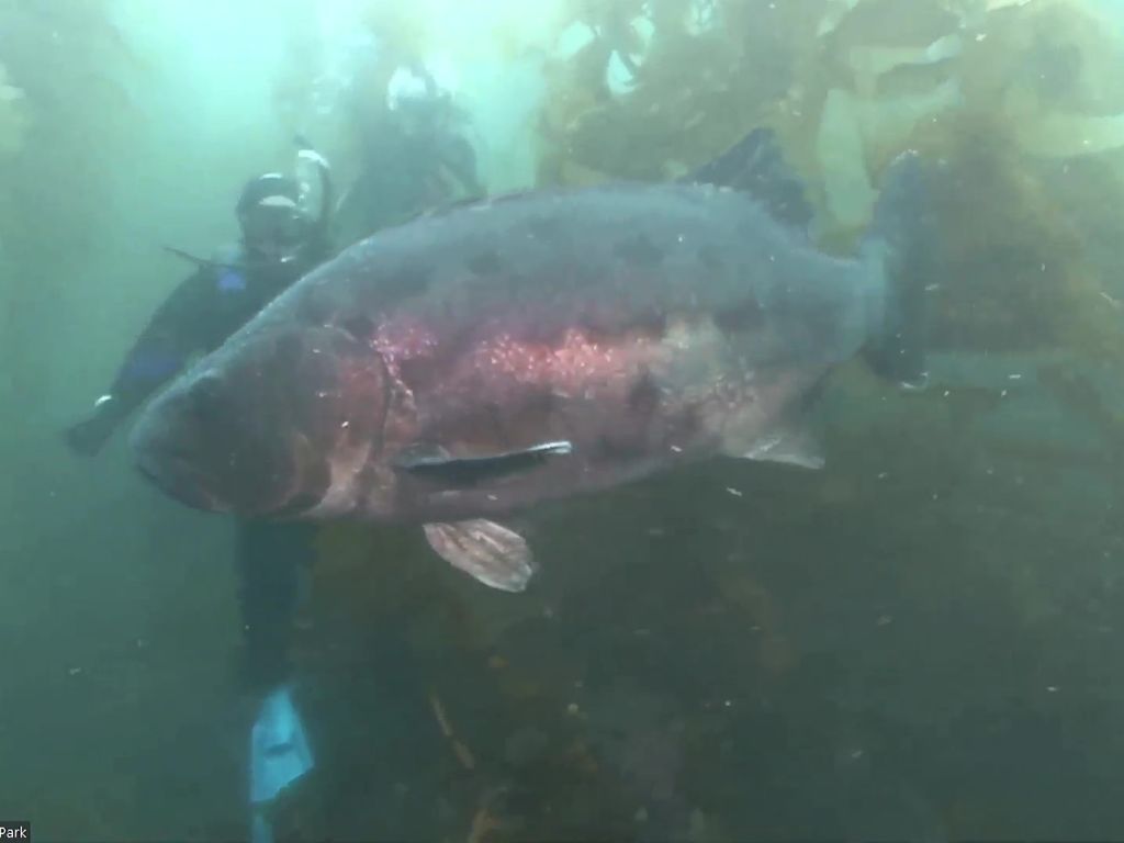 7266d8e7-d747-4eb6-bb58-0bdb31d2212a