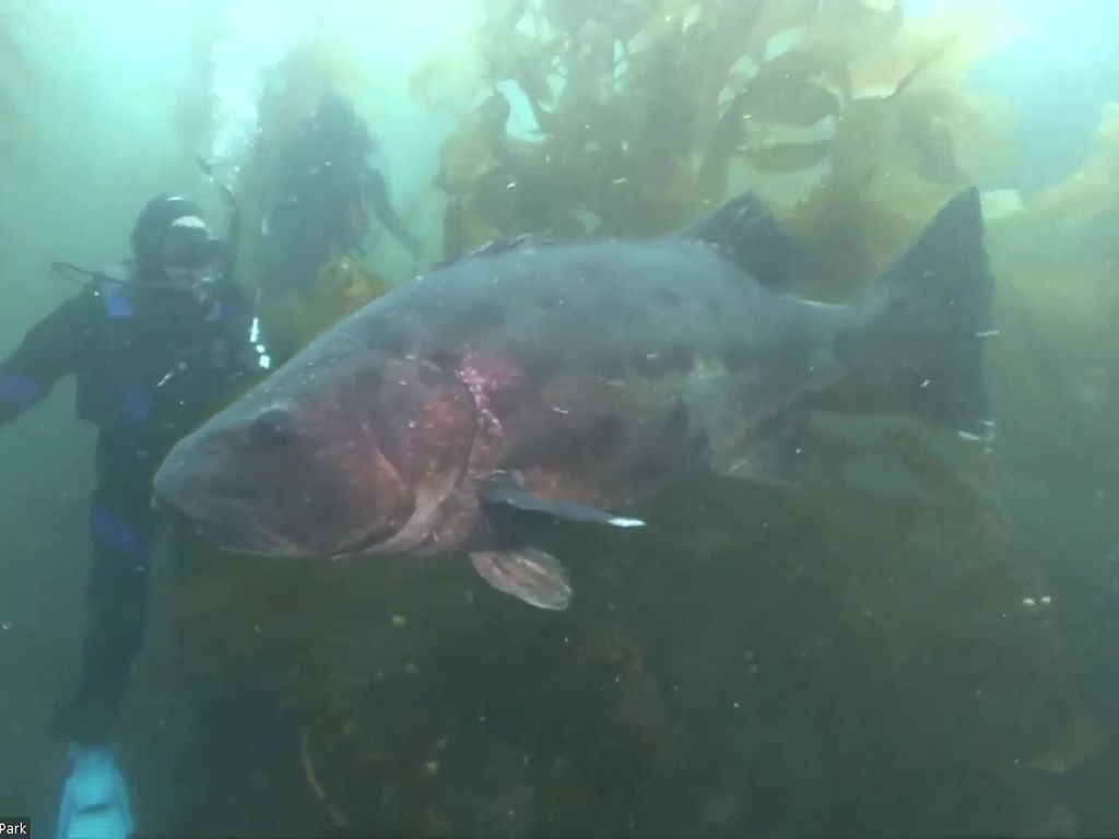 7266d8e7-d747-4eb6-bb58-0bdb31d2212a