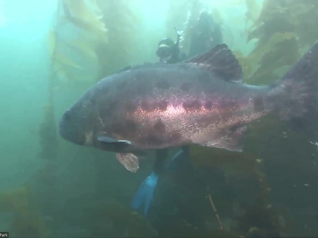 7266d8e7-d747-4eb6-bb58-0bdb31d2212a