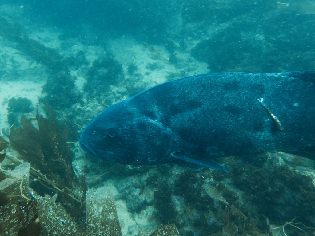 cc6d40d5-760e-41ec-9deb-a195a4f89f9c