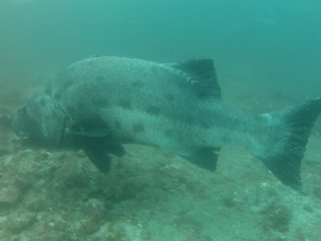 3bf72f16-b59b-4988-8e1f-000ef4775d79