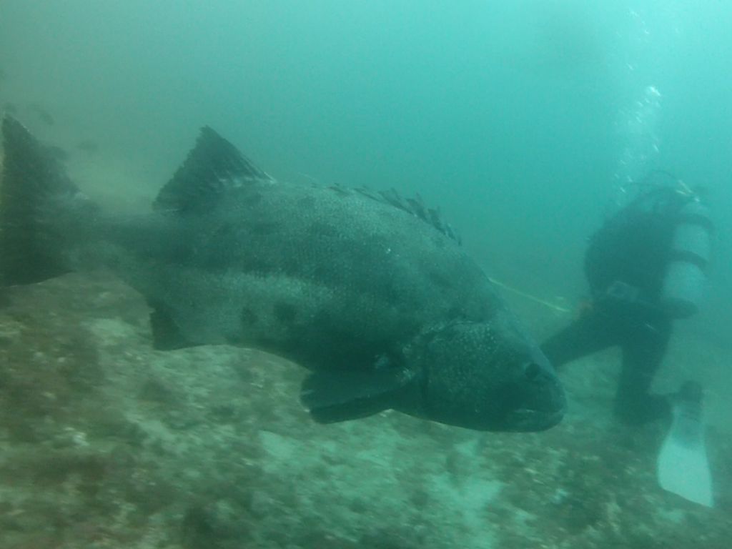 3bf72f16-b59b-4988-8e1f-000ef4775d79