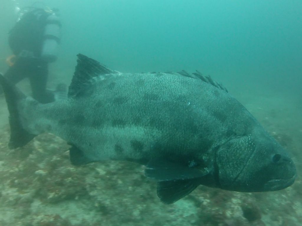 3bf72f16-b59b-4988-8e1f-000ef4775d79