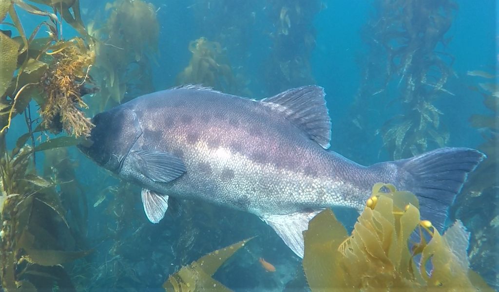 668bd8eb-867e-456f-b450-d2db641fcc91