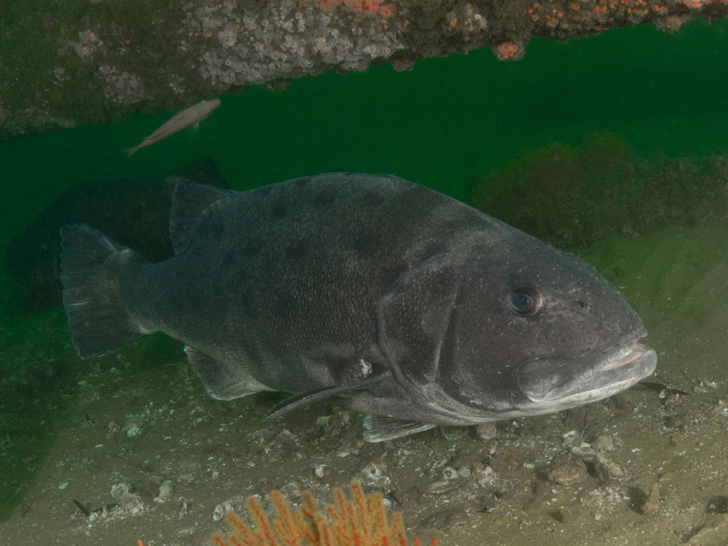 423a2657-fe35-410c-9755-53f93215cf6a