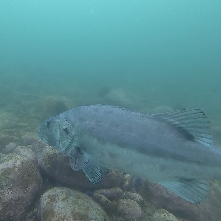 6a46a9bf-90c3-4da7-8846-ae353627b2f5