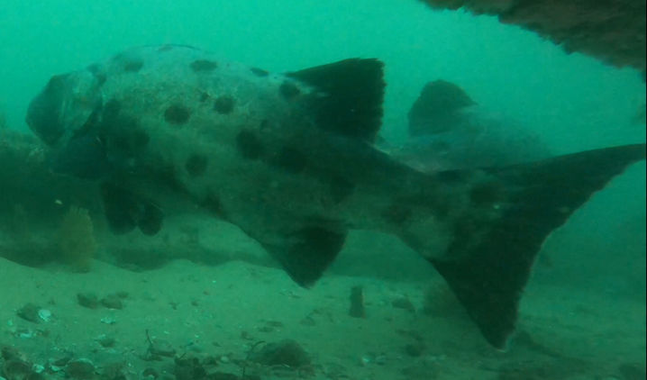 69ed515f-93cf-4303-824b-d51e53bbe8d5