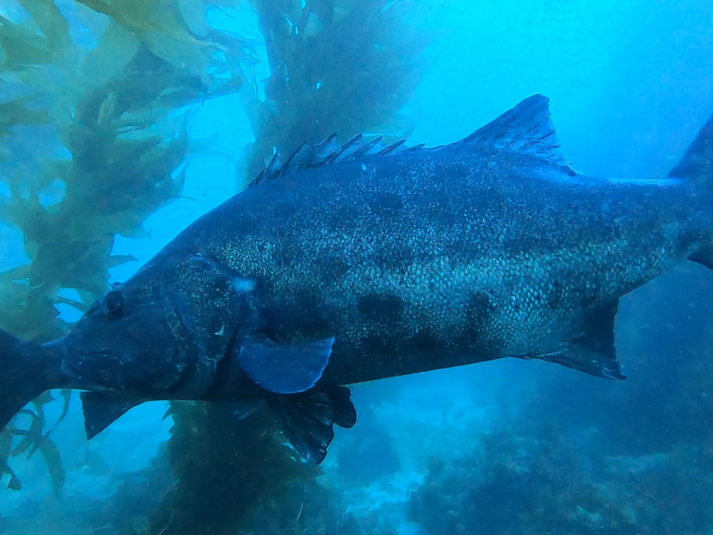 9a9eb27e-3999-4a35-833b-a7a8ec8163b2