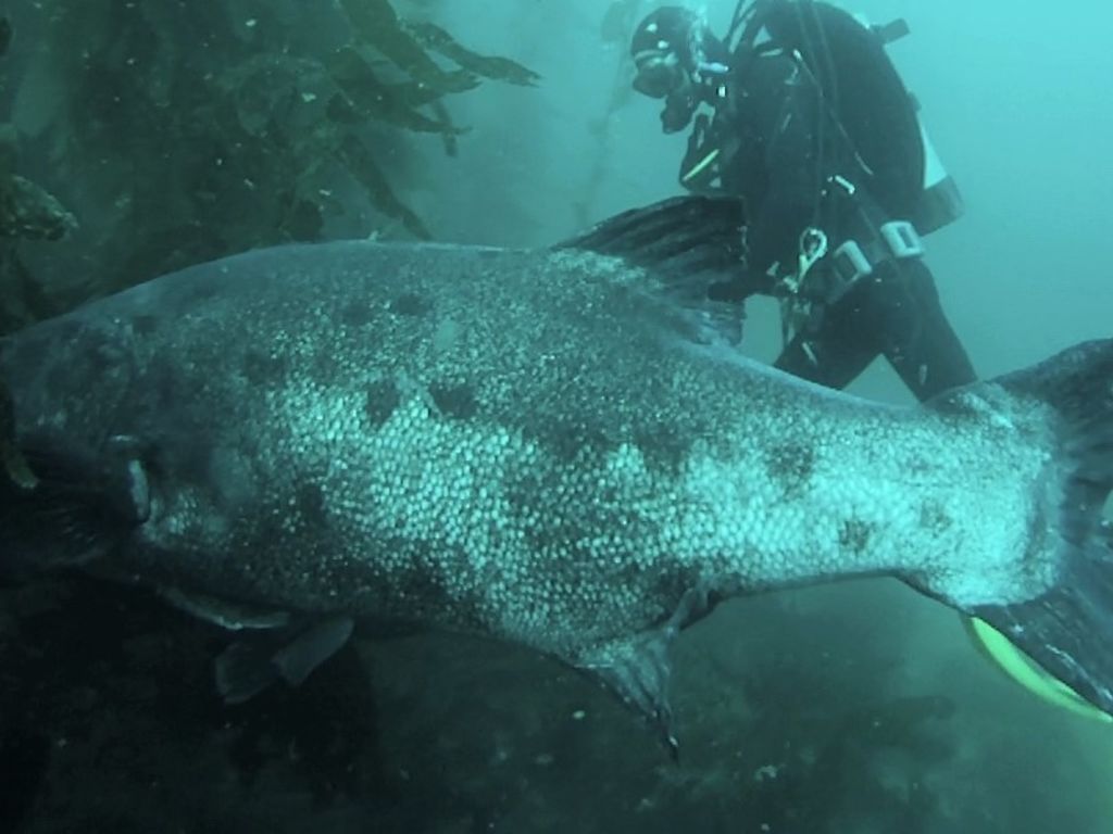 7a5bd8b2-8907-4ebd-866a-940b81dffaad