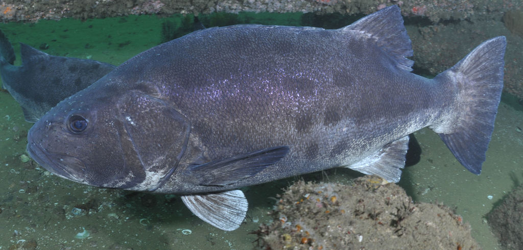 c43a18a3-602d-4937-941c-7073e17c77d2