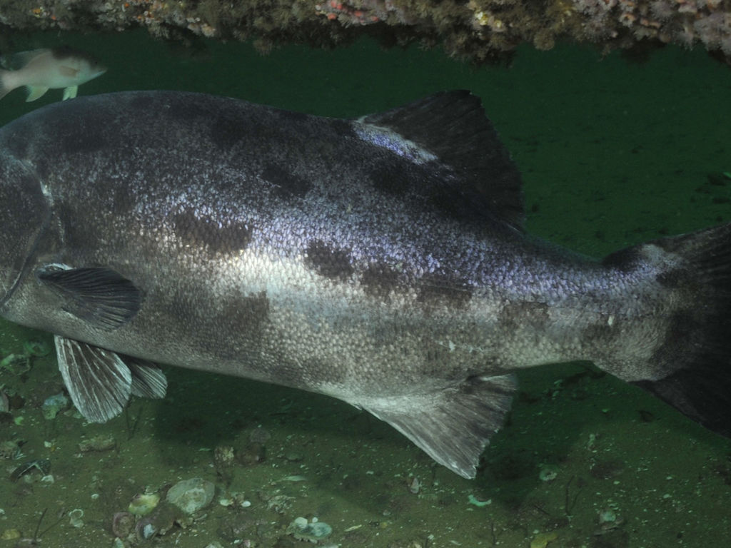 813c4016-59ff-4497-aa9c-9998e494cab2