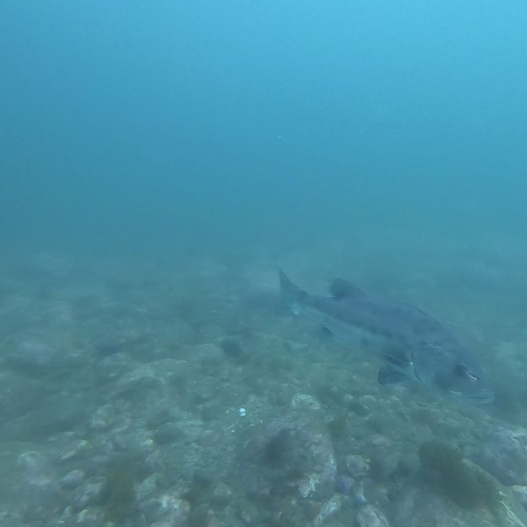 052efcdf-4ef4-4e5a-b281-d7e8b054445f