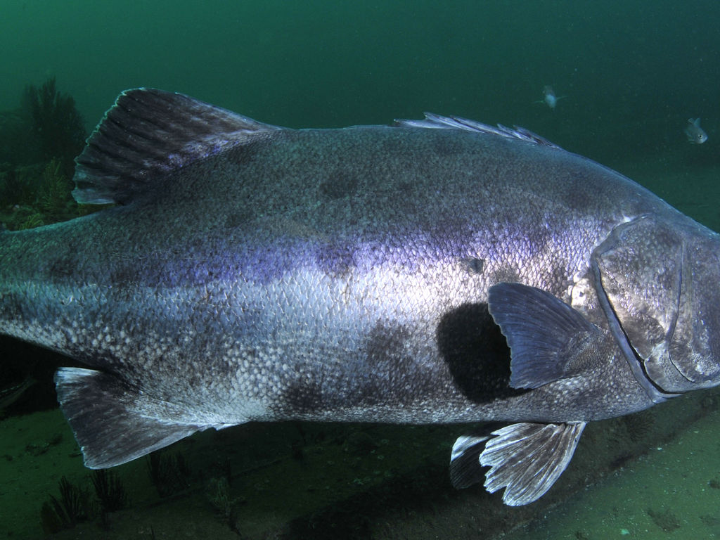 50439387-75e7-47b1-83e4-59224b080924