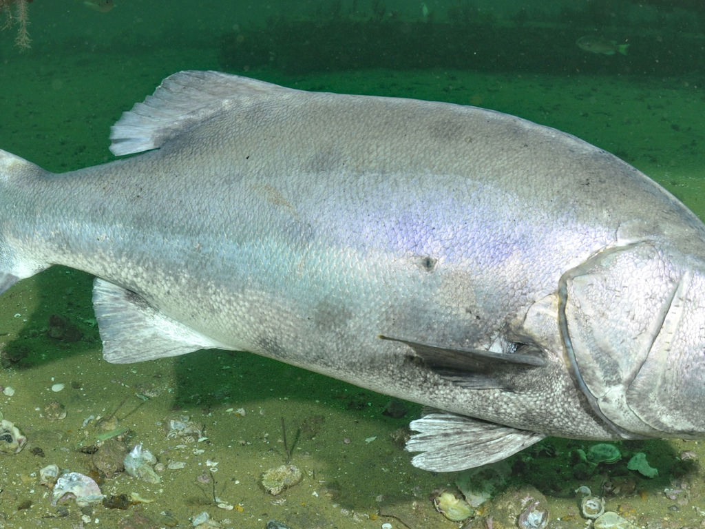 50439387-75e7-47b1-83e4-59224b080924