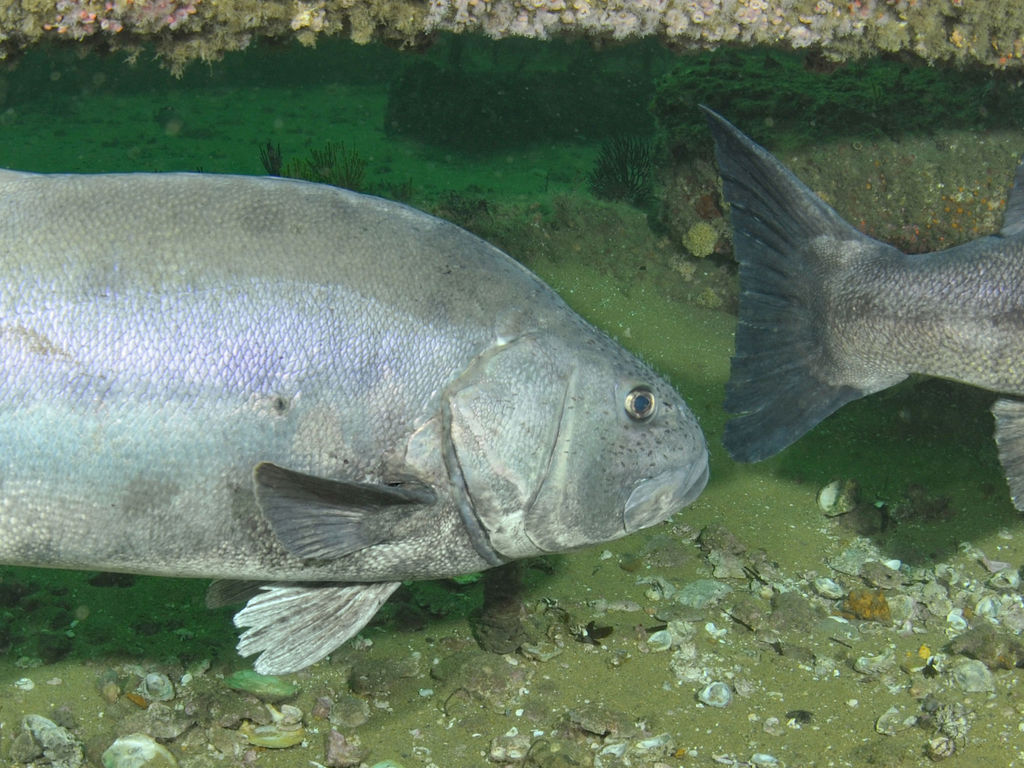 50439387-75e7-47b1-83e4-59224b080924