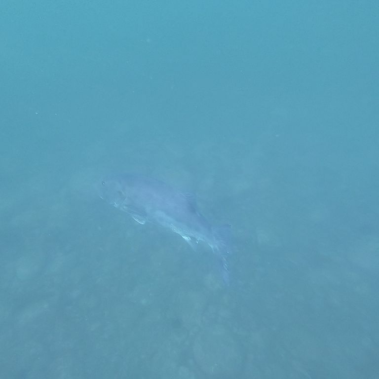 406c5f7a-8d1b-434b-a5a7-402b2516a008