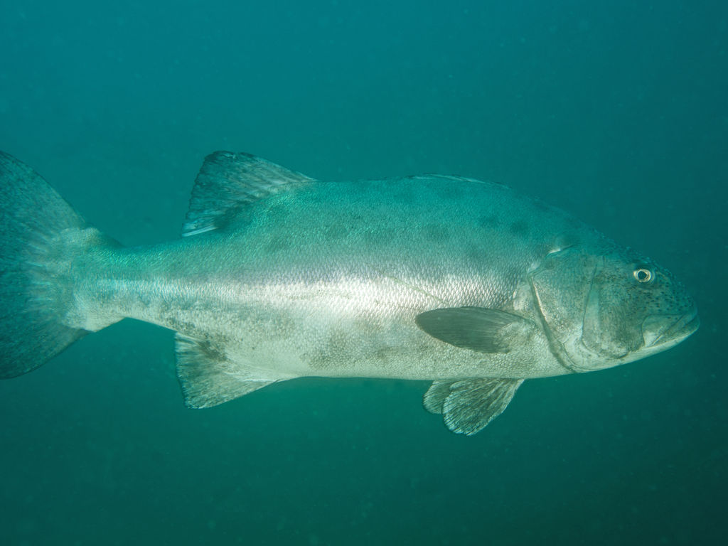 ce0a19bf-4a4b-4720-93b4-0ebf9f52ceab