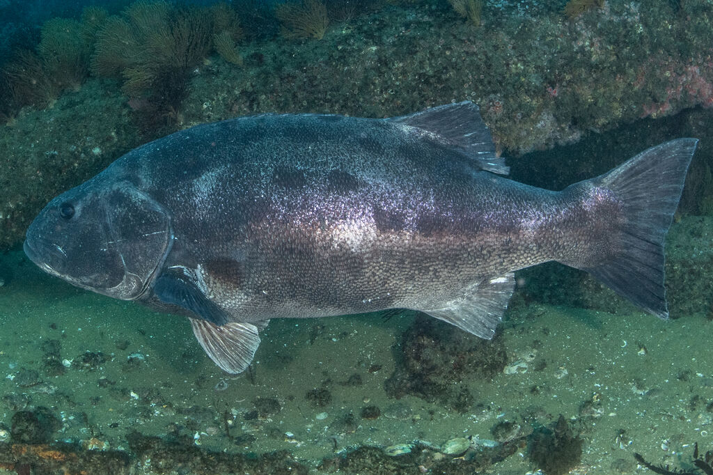 a7ebe02e-c3df-4512-b7f0-9b0e8354810f