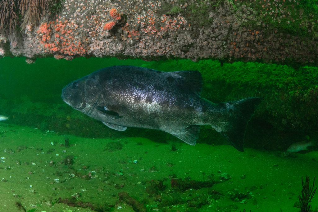 c43a18a3-602d-4937-941c-7073e17c77d2