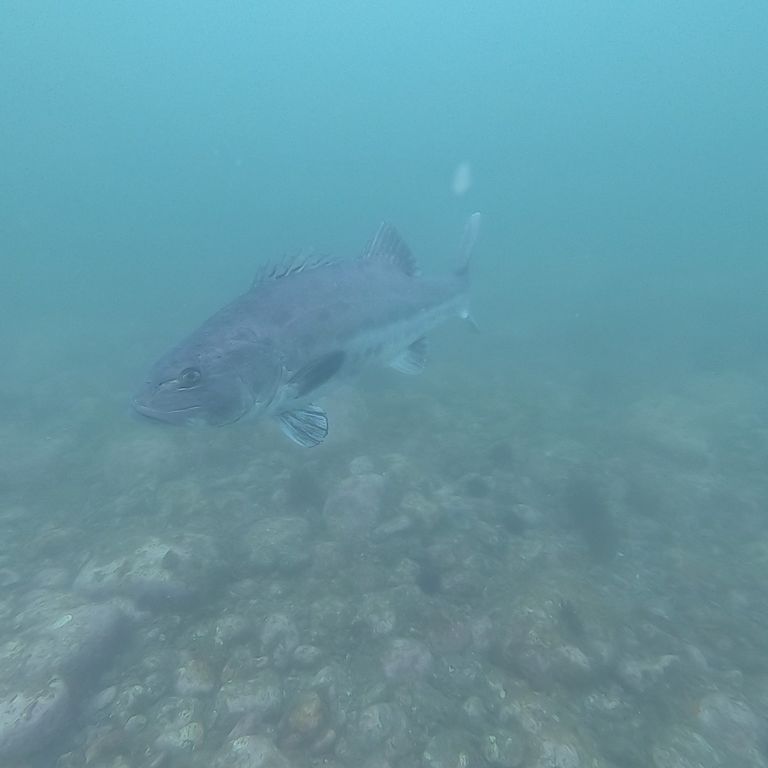 e9b2483f-2370-4337-8381-0ea34ea6592c