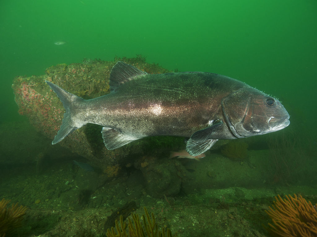 cc48e724-87df-4575-bdd4-dbc9d7f61076