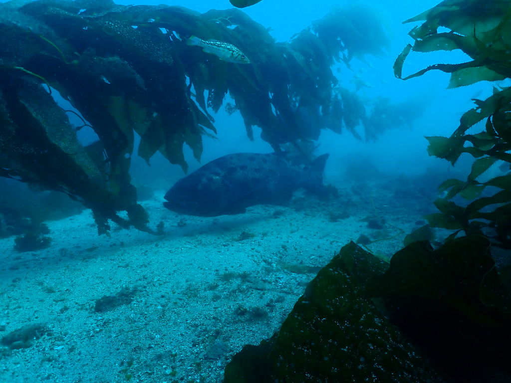 cd7e45c0-0e73-4c50-9921-78be67ef8e29