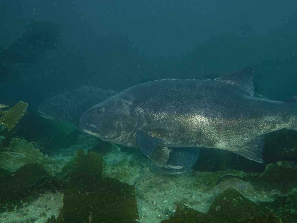 596ead64-39b5-41d7-8d6c-bbf347504036