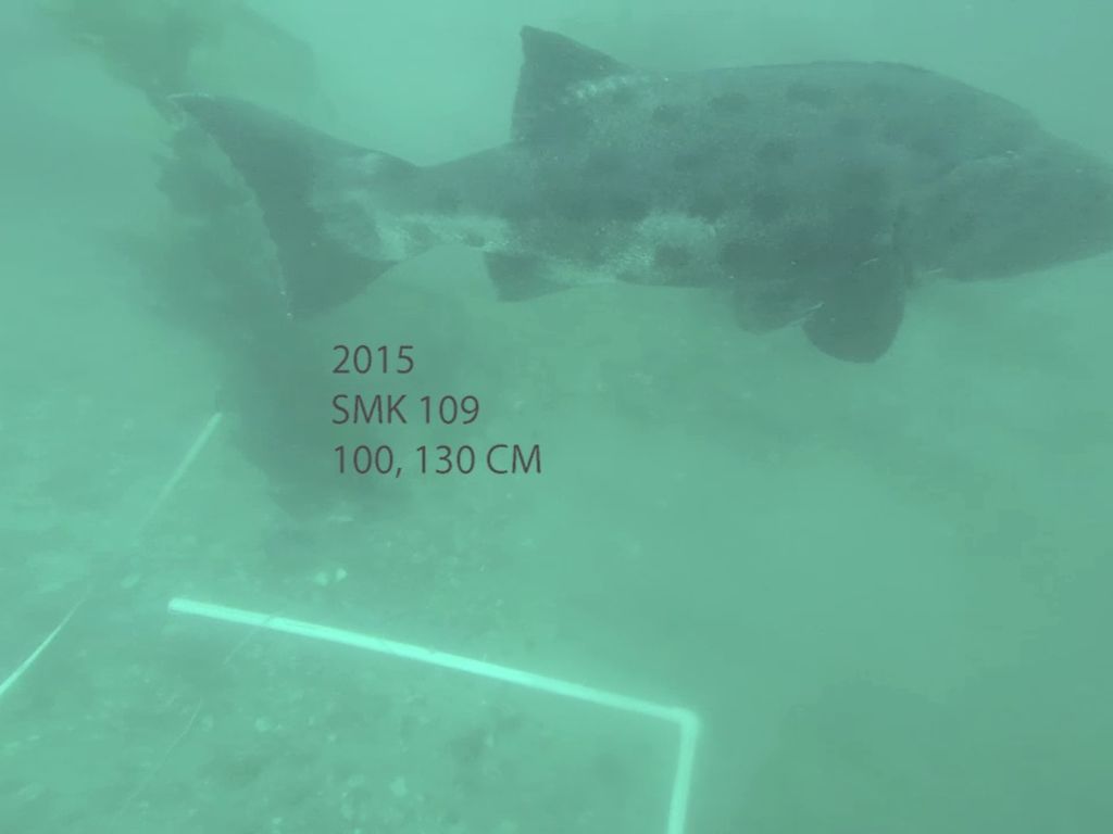 a90b6832-5f6a-4ae9-af23-13b5a9fdc082