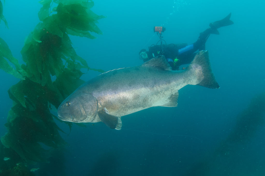 fe206e62-2091-49b1-a123-20cf8b3205e0