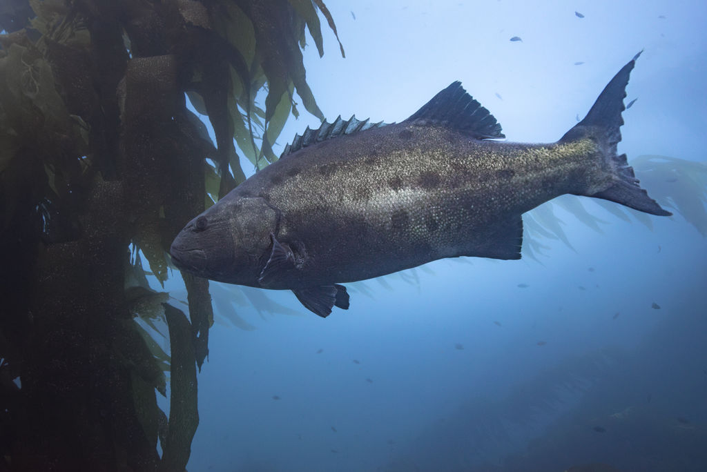 d17534b3-042e-4b11-a15a-50ca220d67ca