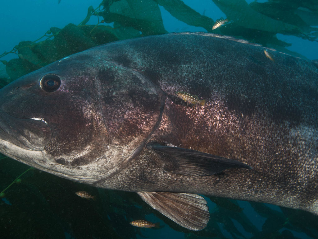 161fbc6d-f311-45d2-bed4-2cad88f81851