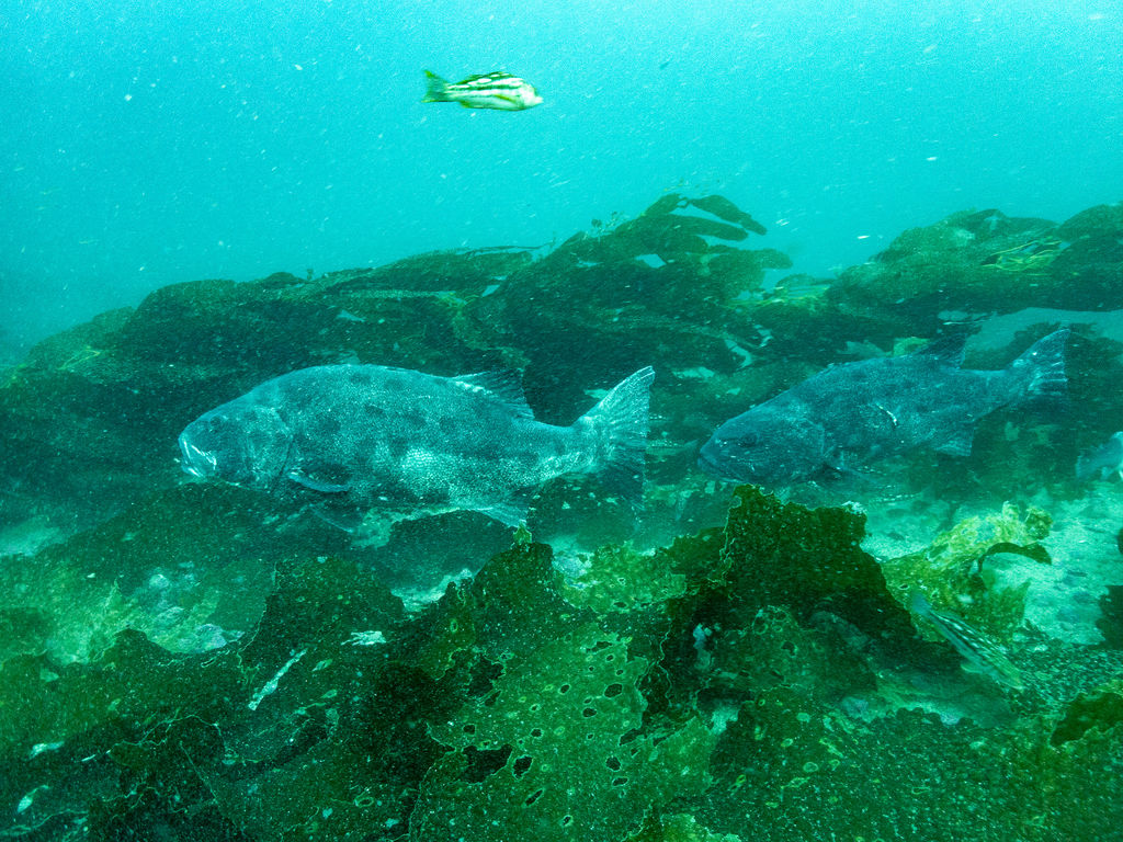 c2bd1a4f-7821-4f06-8a8e-50227fe536f3