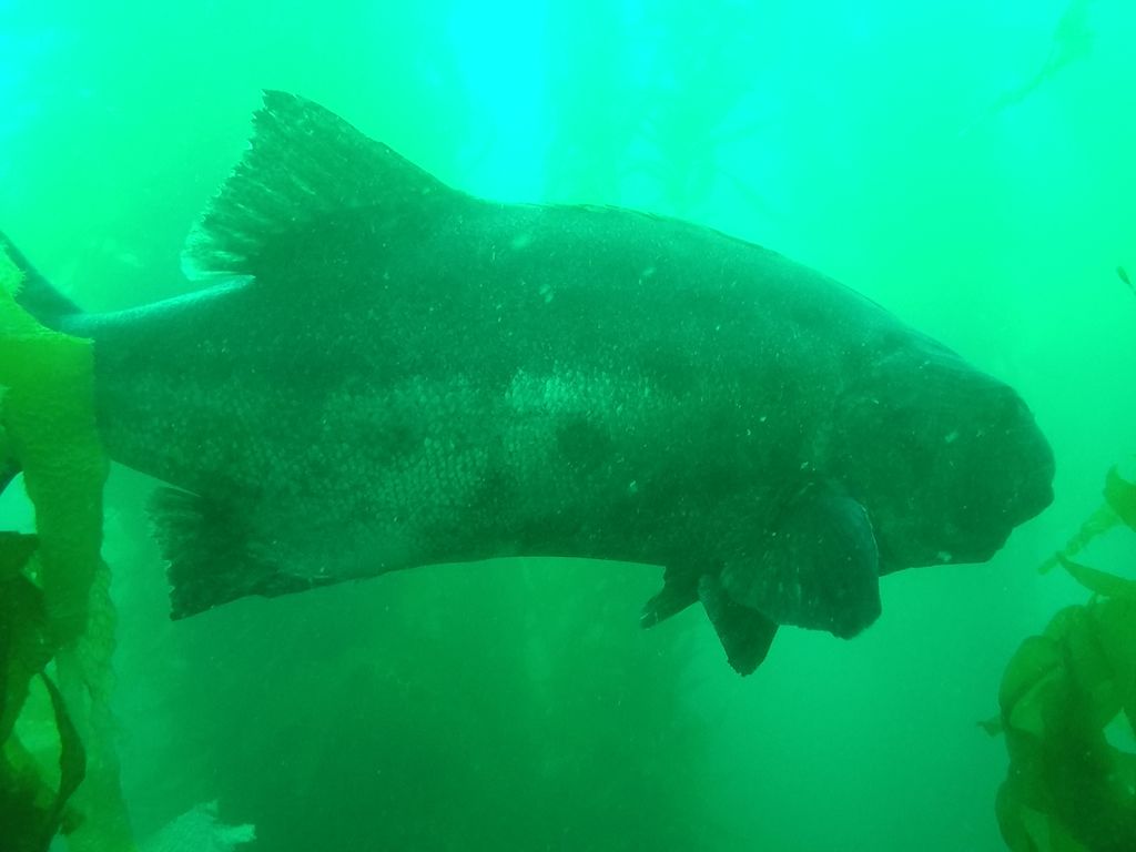 79cee9cd-2ae0-4953-a8e5-7f7d76af437f