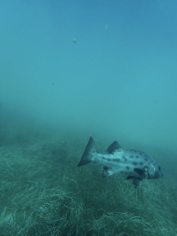 36a7d8c6-5e9d-4507-997e-3c55b85fa057