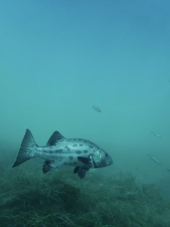 36a7d8c6-5e9d-4507-997e-3c55b85fa057