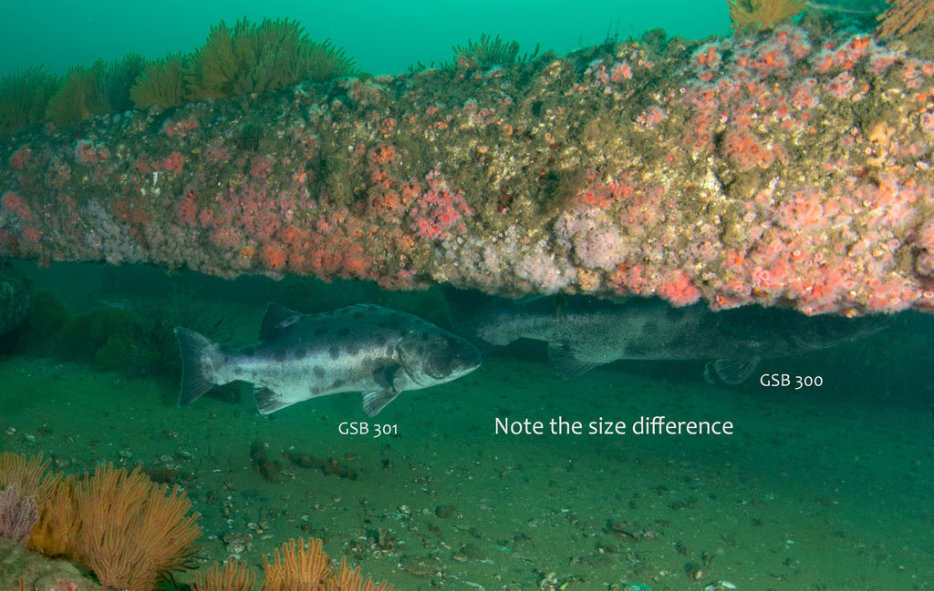 e43b971b-010f-478a-9b89-608fc2714be6