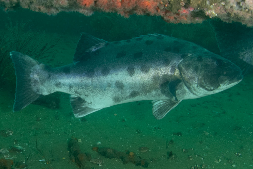 e43b971b-010f-478a-9b89-608fc2714be6