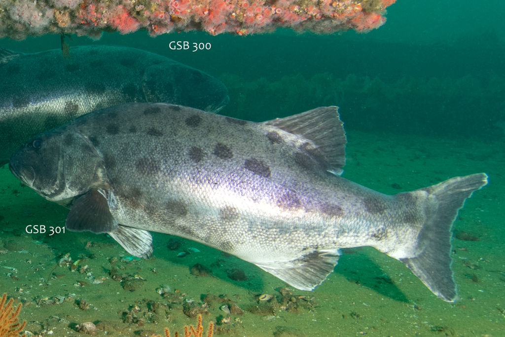 e43b971b-010f-478a-9b89-608fc2714be6