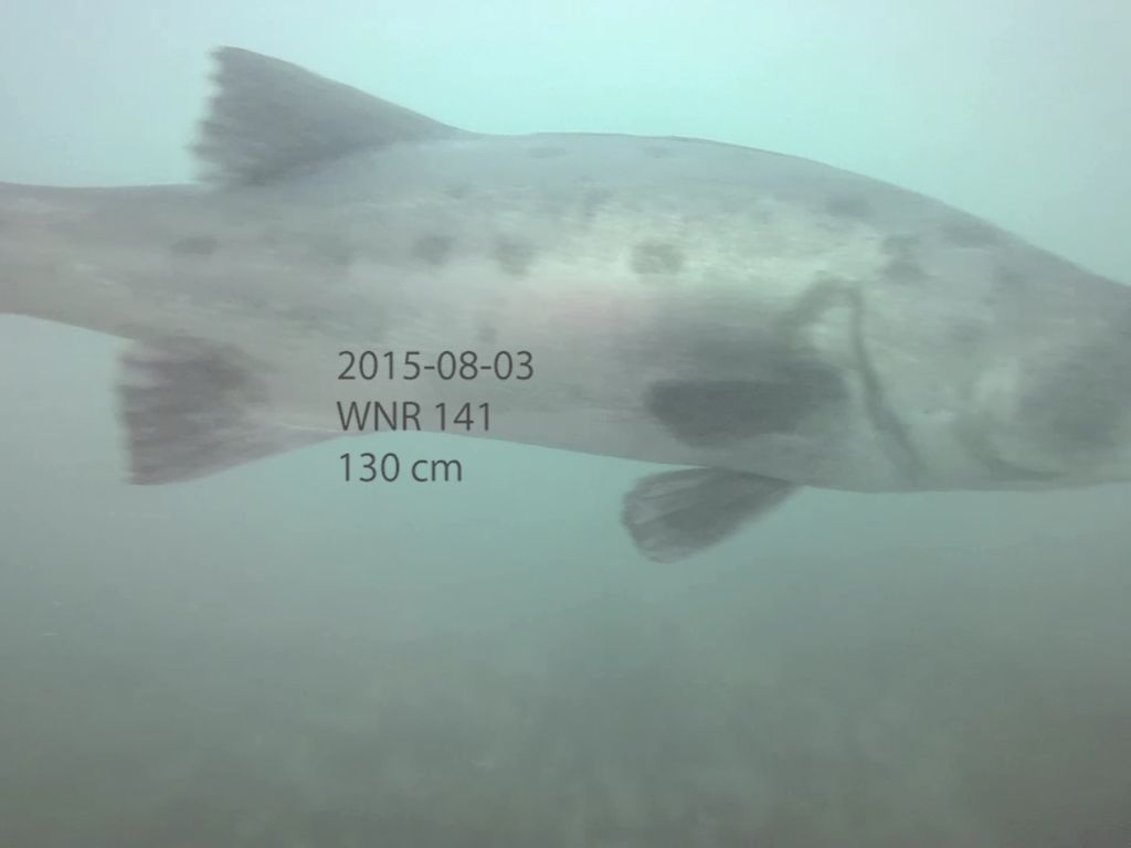 dd63c0d3-e60e-4088-a9b8-42f6f651c2e3