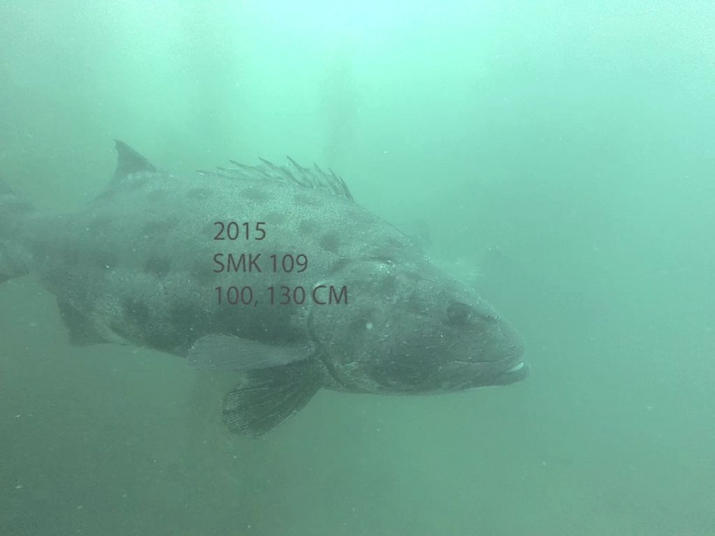 a90b6832-5f6a-4ae9-af23-13b5a9fdc082