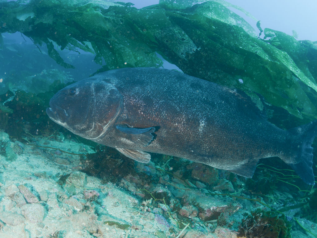 c55f85eb-c951-4e03-bf0b-f3bed3525271