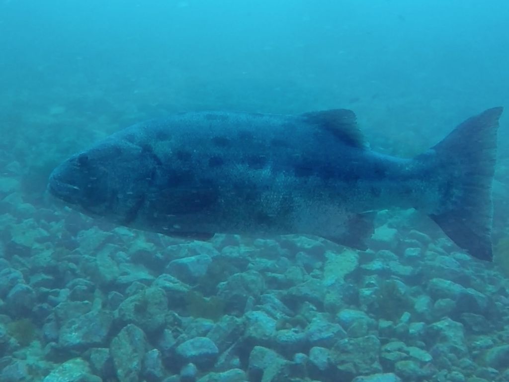 9ab95417-edec-4d3a-8268-a24789949d47