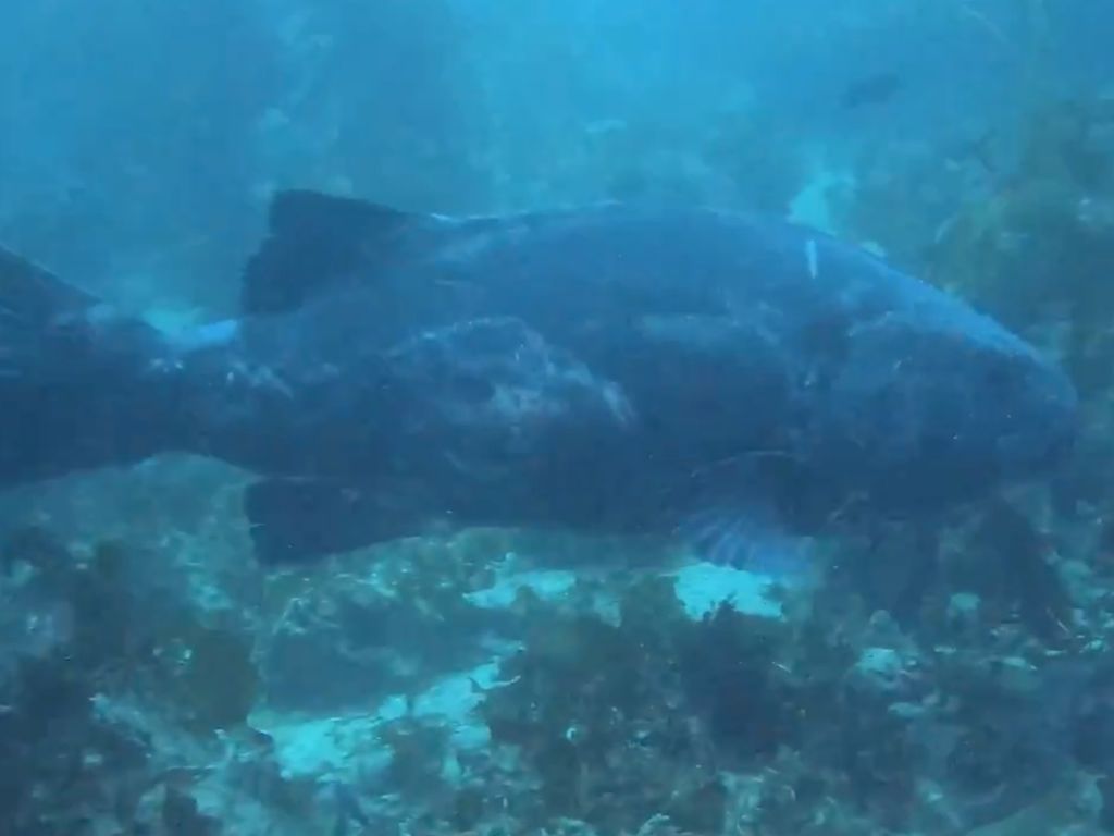 881c8ce1-22f0-448a-8a19-076dafdccbab