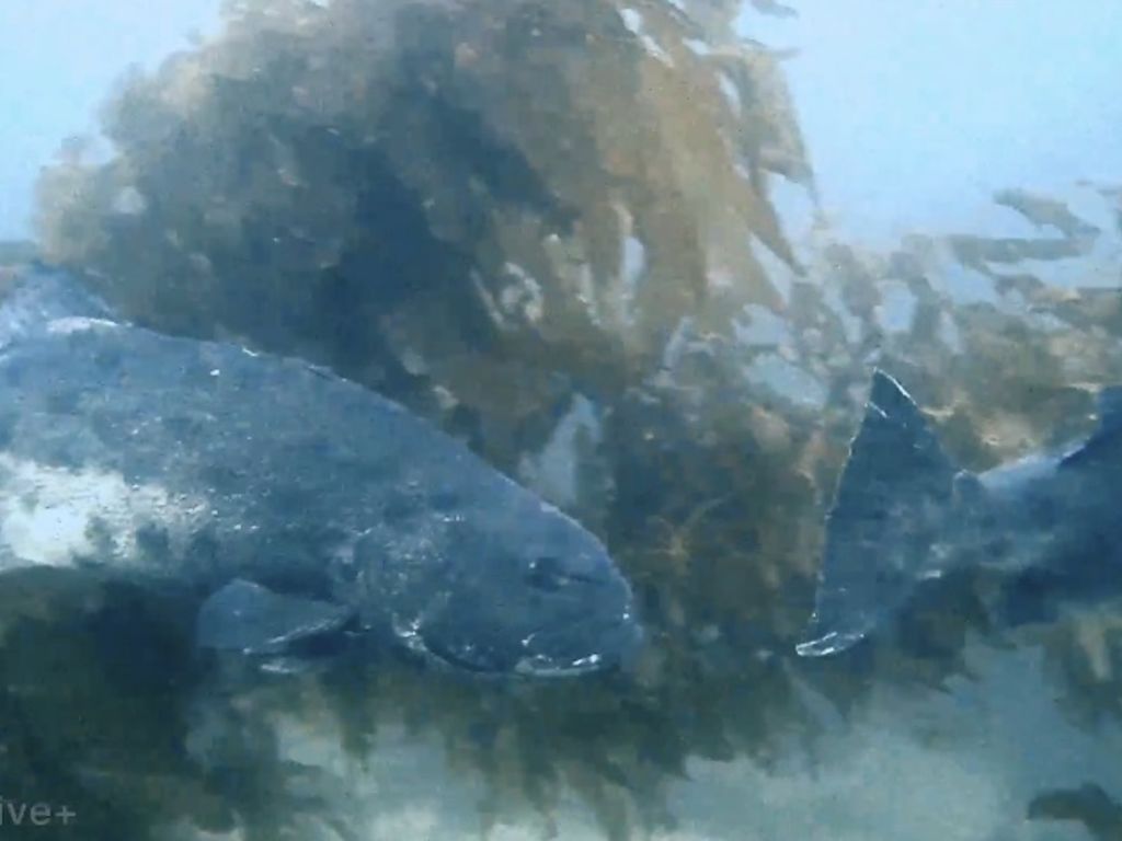 60e5c3a2-76f5-4042-a40d-13f70a98cf40