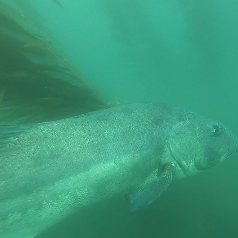 923ae4a7-256a-4dbe-83d4-59d3dc0097a2