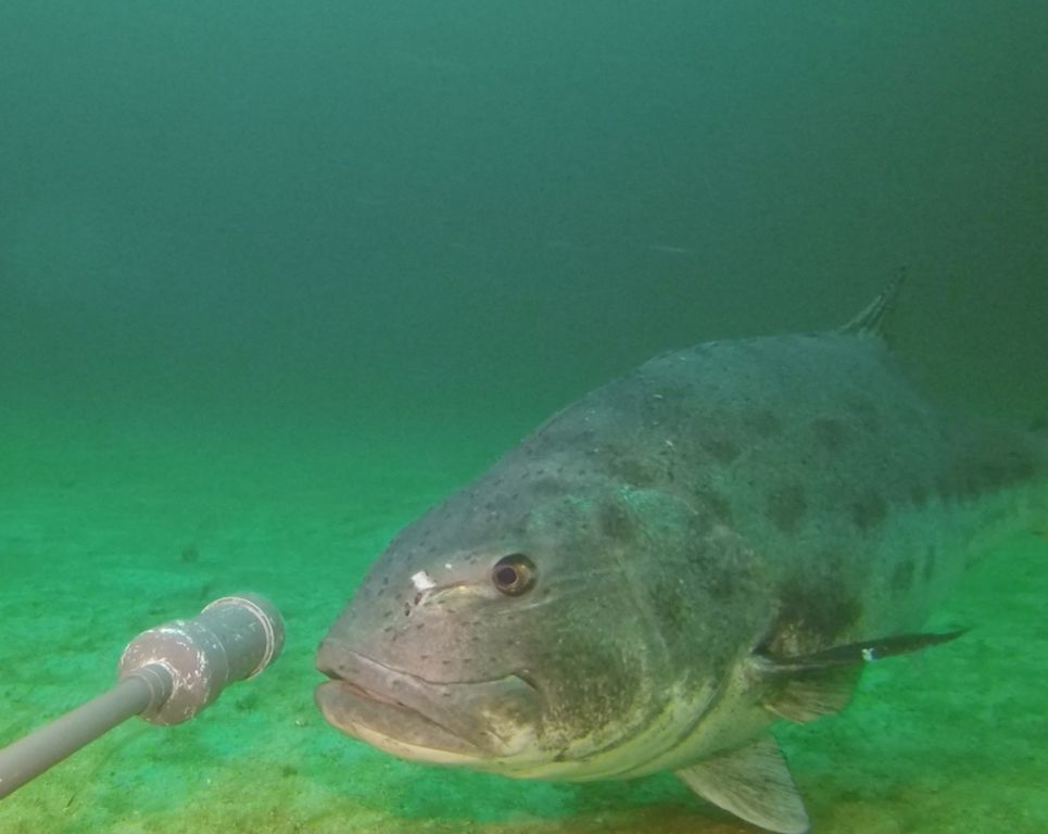 1b5dee8b-ef0d-4337-98af-6dc5ce751bc1