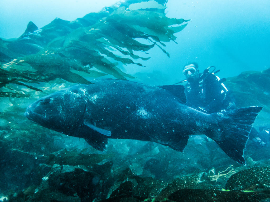 14912beb-2a17-4f87-bde6-bfd51f44d604