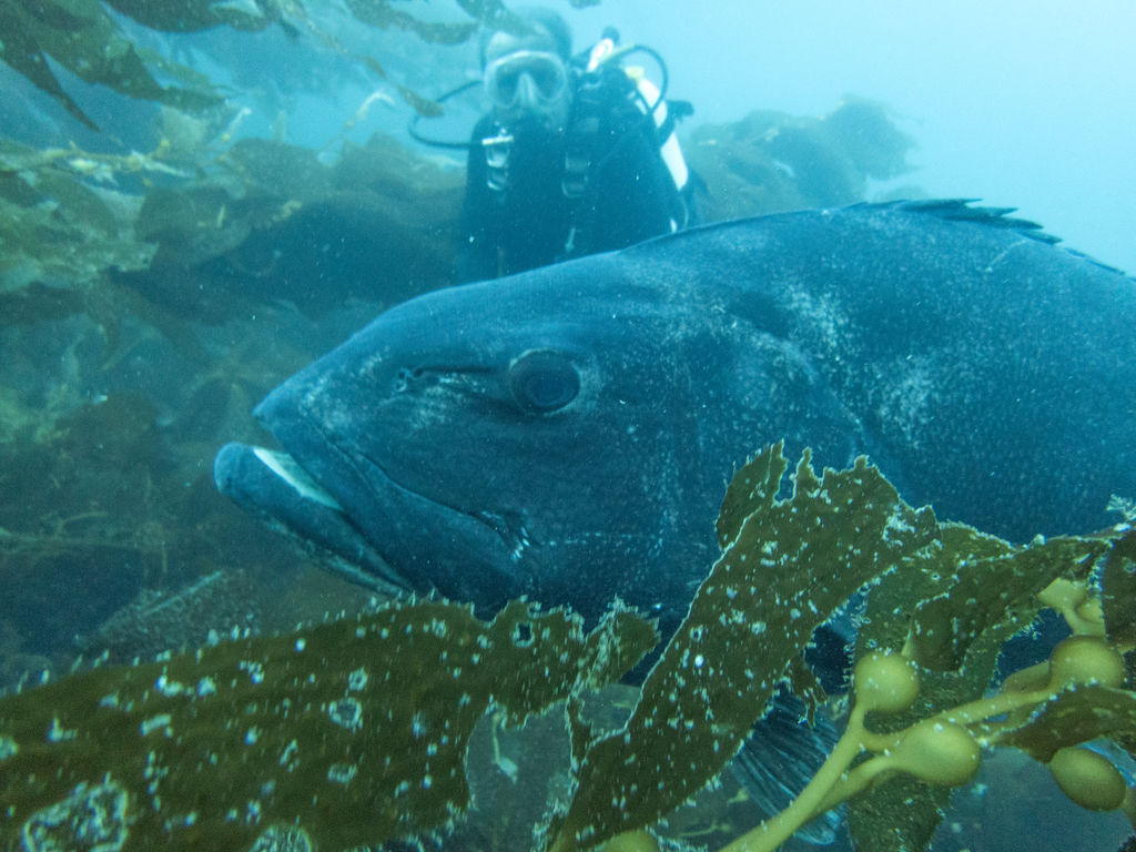 14912beb-2a17-4f87-bde6-bfd51f44d604