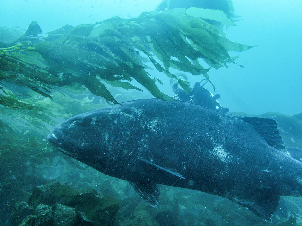 14912beb-2a17-4f87-bde6-bfd51f44d604