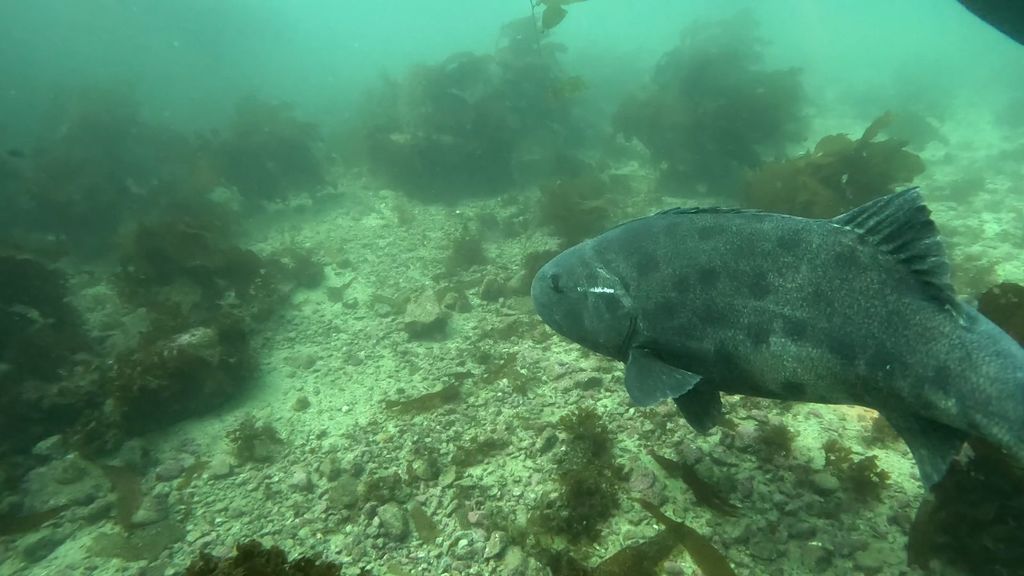 2c87afd6-cb88-45e8-a5a9-bae2b2e0ca4a